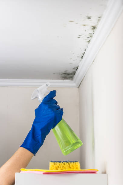 Crawl Space Mold Removal in Philadelphia, MS